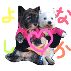 [LINEスタンプ] なっぷとあびぃ