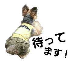 [LINEスタンプ] ハッチの日常 ナイン