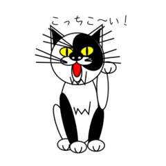 [LINEスタンプ] こっちねこ