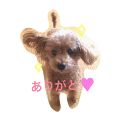 [LINEスタンプ] h.coco