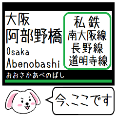 [LINEスタンプ] 私鉄の南大阪線 長野線 道明寺線この駅だよ