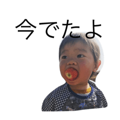 [LINEスタンプ] れいけいスタンプ