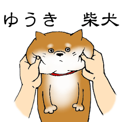 [LINEスタンプ] 【ゆうき】の柴犬