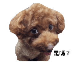 [LINEスタンプ] My superdog