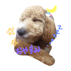 [LINEスタンプ] むーん