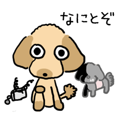 [LINEスタンプ] トイプードルのタロ