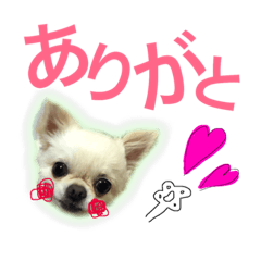 [LINEスタンプ] レオスタンプパート2