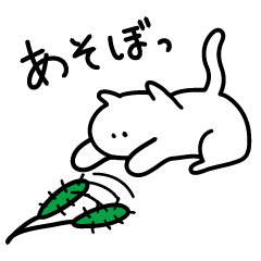 [LINEスタンプ] もちもちねこにゃん