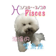 [LINEスタンプ] bichon constellation