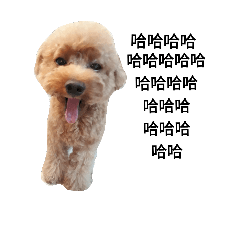 [LINEスタンプ] doggydoggy