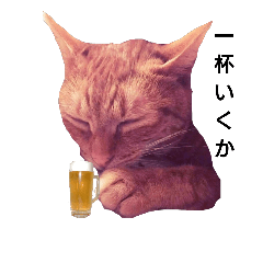 [LINEスタンプ] ねこちゃん日常