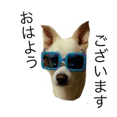 [LINEスタンプ] 敬語byHAKU