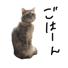 [LINEスタンプ] ムギとあかね