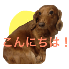 [LINEスタンプ] 愛しのモモスタンプ