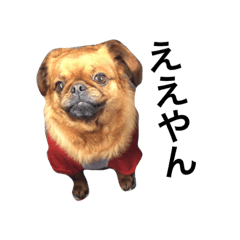 [LINEスタンプ] ビッグコロン