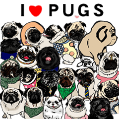 [LINEスタンプ] WE LOVE PUGS