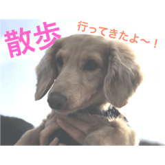 [LINEスタンプ] ソラっち(笑)