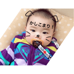 [LINEスタンプ] はんちゃん☆