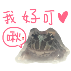 [LINEスタンプ] My lovely Horned Frogs 94 love murmur