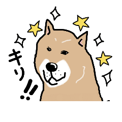[LINEスタンプ] Japanese dog40の画像（メイン）