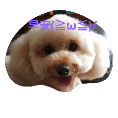 [LINEスタンプ] my dog mama