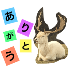 [LINEスタンプ] 動物の国（おしゃべり）