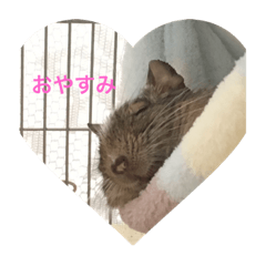 [LINEスタンプ] こむぎちゃんの呟き