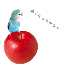 [LINEスタンプ] 幸せのあおいとりさん2