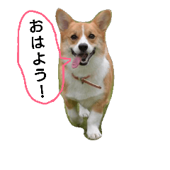 [LINEスタンプ] コーギーロマンくん