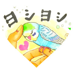 [LINEスタンプ] 沙織の癒し鳥ちゃん達