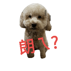 [LINEスタンプ] Home has two tresurea