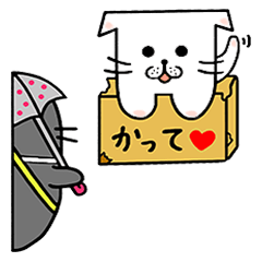 [LINEスタンプ] クラカケアザラシときどき北海道猫