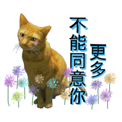 [LINEスタンプ] Reiki cat-Shameless again