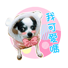 [LINEスタンプ] Shi Jia -Cute baby22