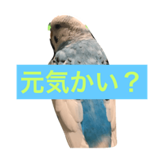 [LINEスタンプ] ochibitama