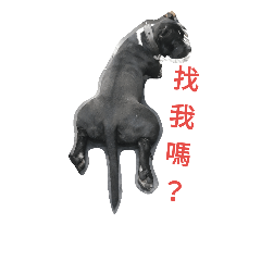 [LINEスタンプ] Bully dog