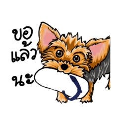 [LINEスタンプ] Yorkshire Terrier and Friends