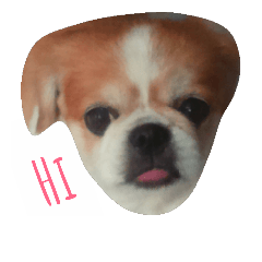 [LINEスタンプ] dog tung