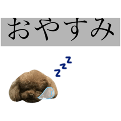 [LINEスタンプ] チャチャとチョビ