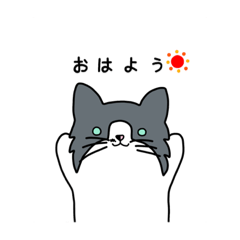 [LINEスタンプ] 猫のみーニャン