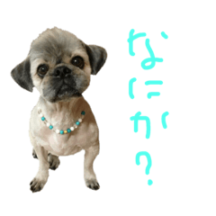 [LINEスタンプ] ぬーくのつぶやき