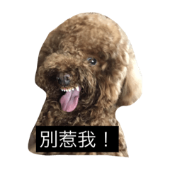 [LINEスタンプ] DOG BOMI HEMI