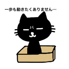 [LINEスタンプ] 黒猫 クロちゃん