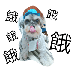 [LINEスタンプ] apple dogggggy