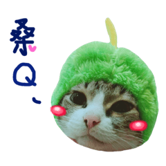 [LINEスタンプ] Im lelecat