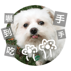 [LINEスタンプ] Pupu is a Maltese dog. Part2