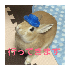 [LINEスタンプ] monaka rabbit picuture4