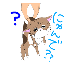 [LINEスタンプ] さんびきのにゃんこ