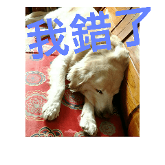 [LINEスタンプ] Dog's life day2