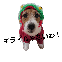 [LINEスタンプ] チログリ家の日常✨